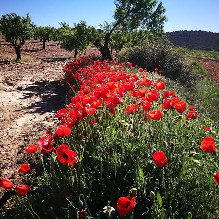 Cortijo Los Soledad El Sauco Exterior photo