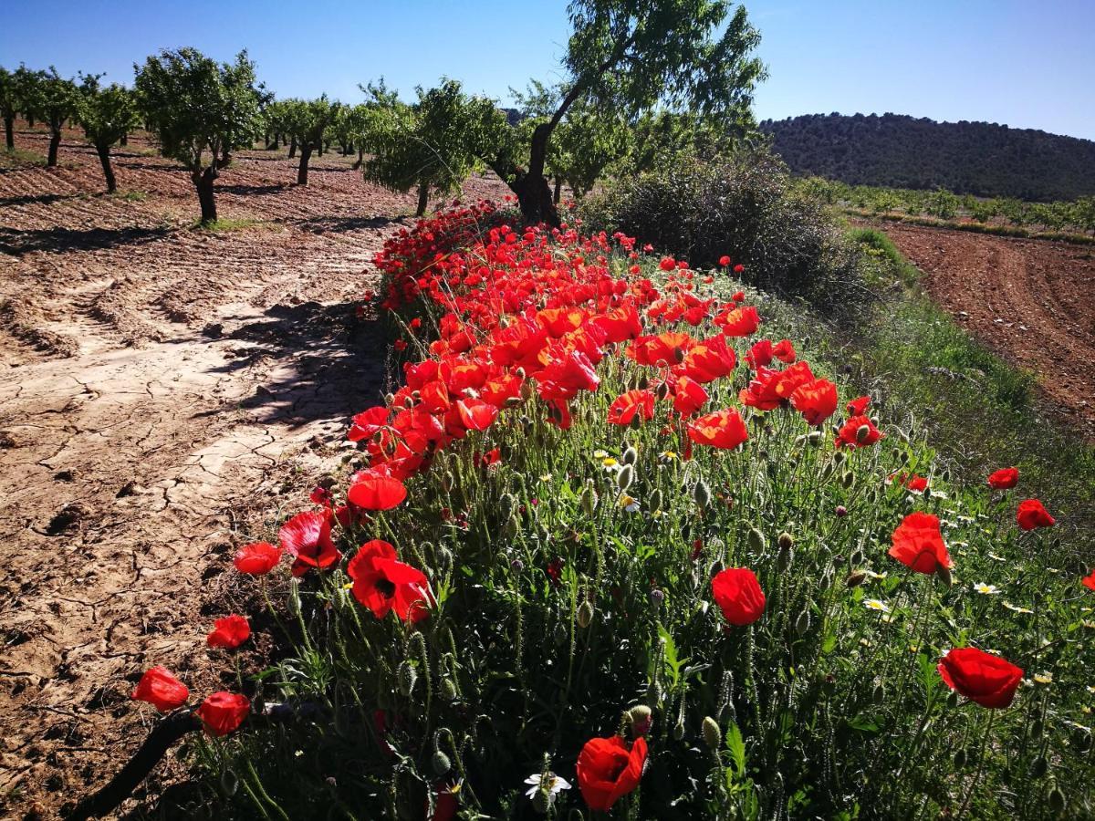 Cortijo Los Soledad El Sauco Exterior photo